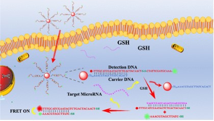 Research Achieviment 精细化工彭孝军课题组