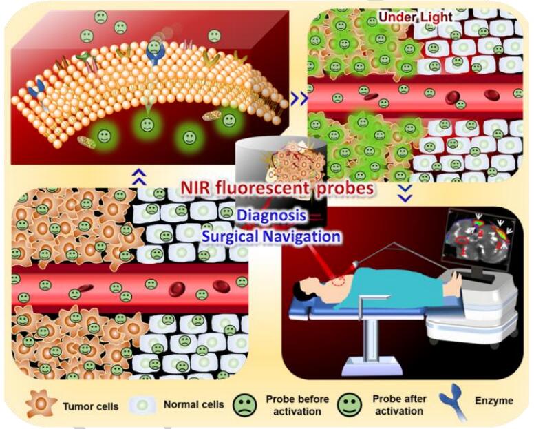 Research Achieviment 精细化工彭孝军课题组